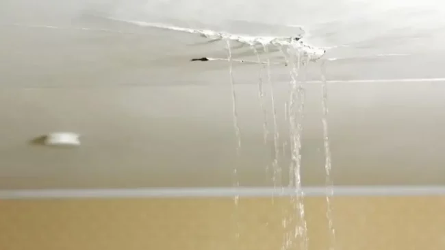 leak Roof leak
