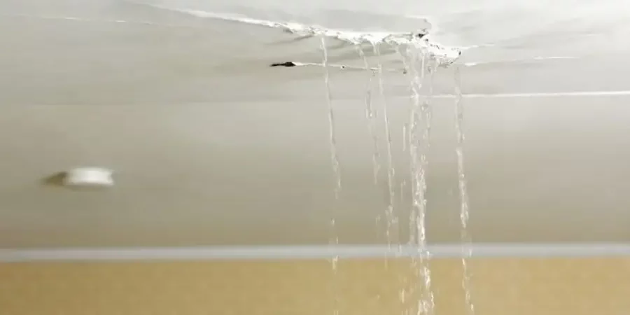 Roof leak