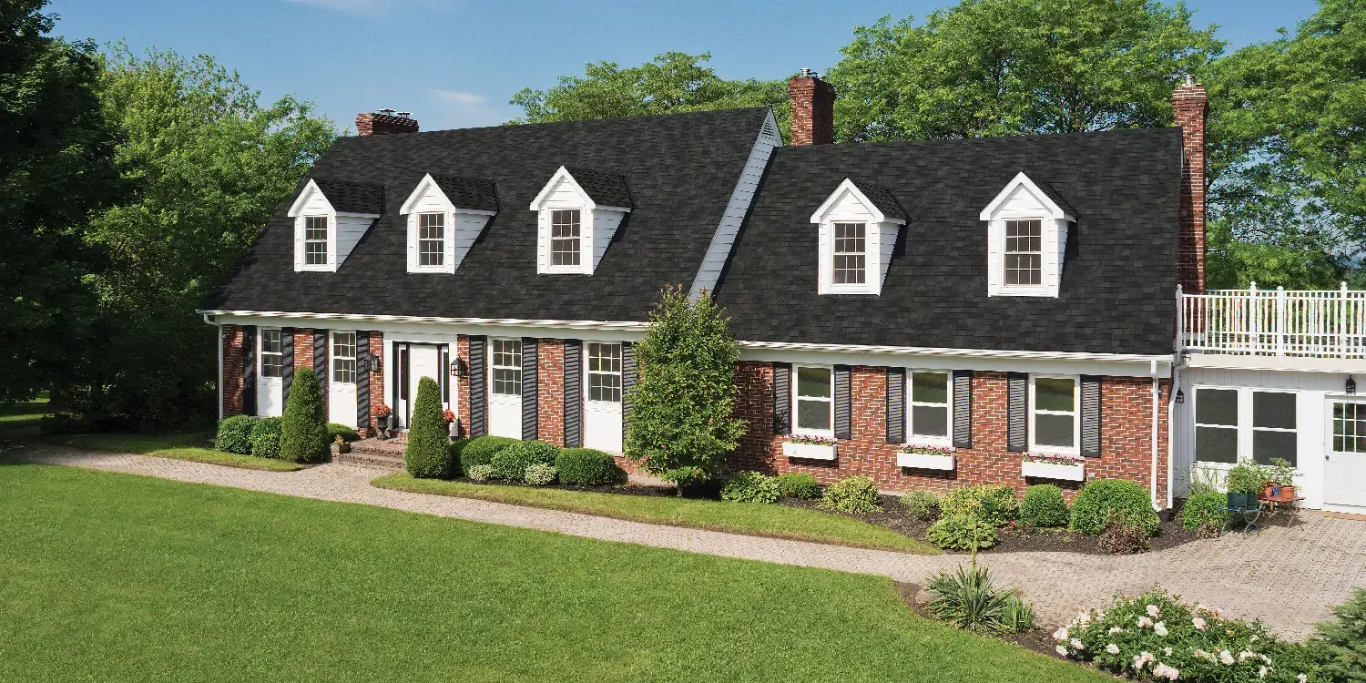 black_roof black roof