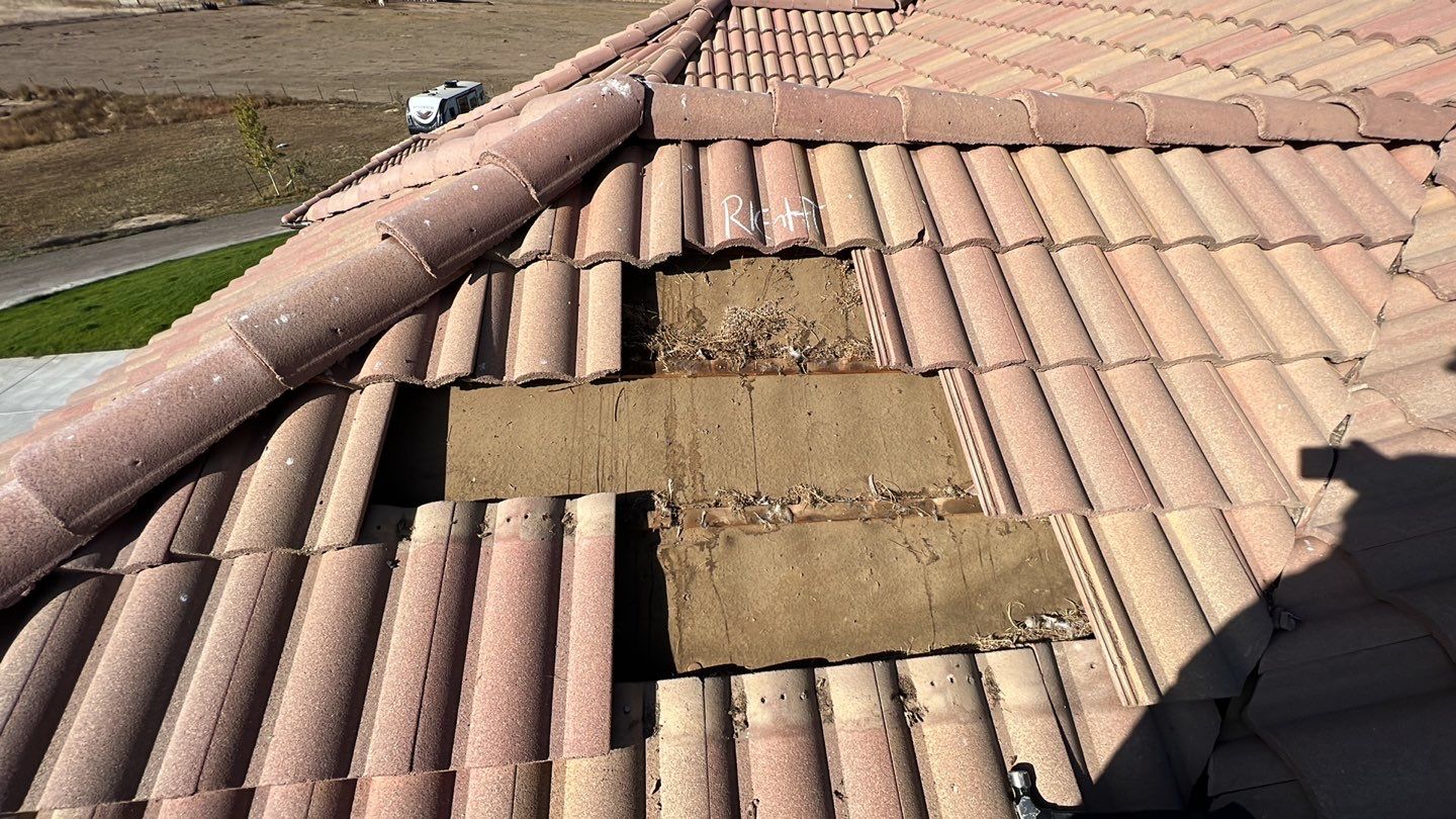 storm damage tile roof