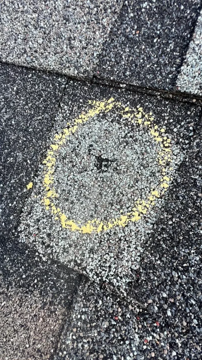 littleton insurance claim