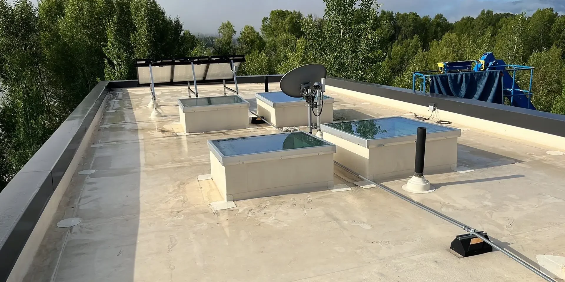 insurance company insurance company