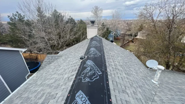 insurance coverage insurance coverage