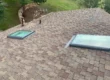 skylights