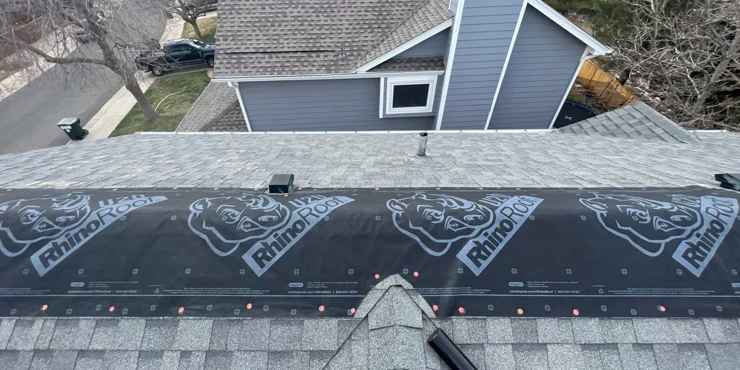 roof leaks