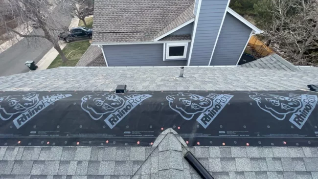roof leaks