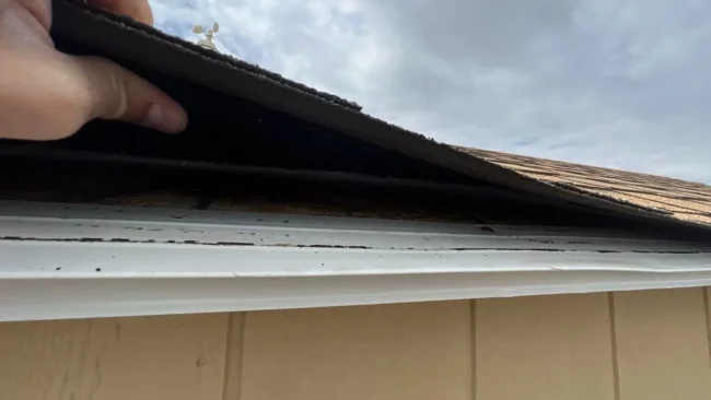 missing-shingles missing shingles