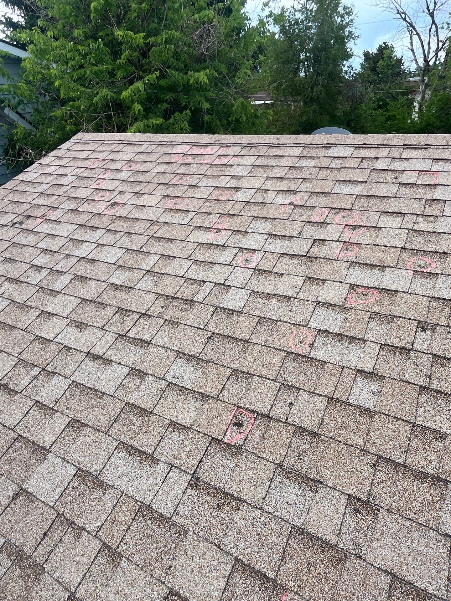 roof inspection