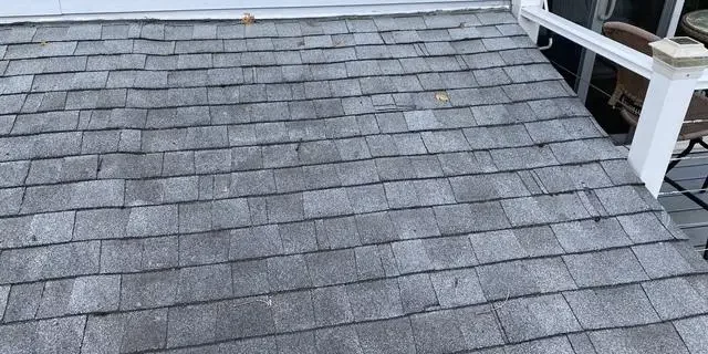 wavy roof wavy roof