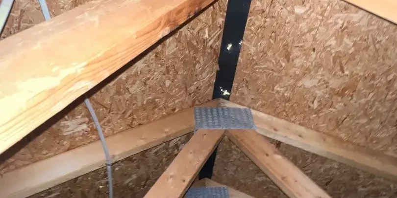attic inspection