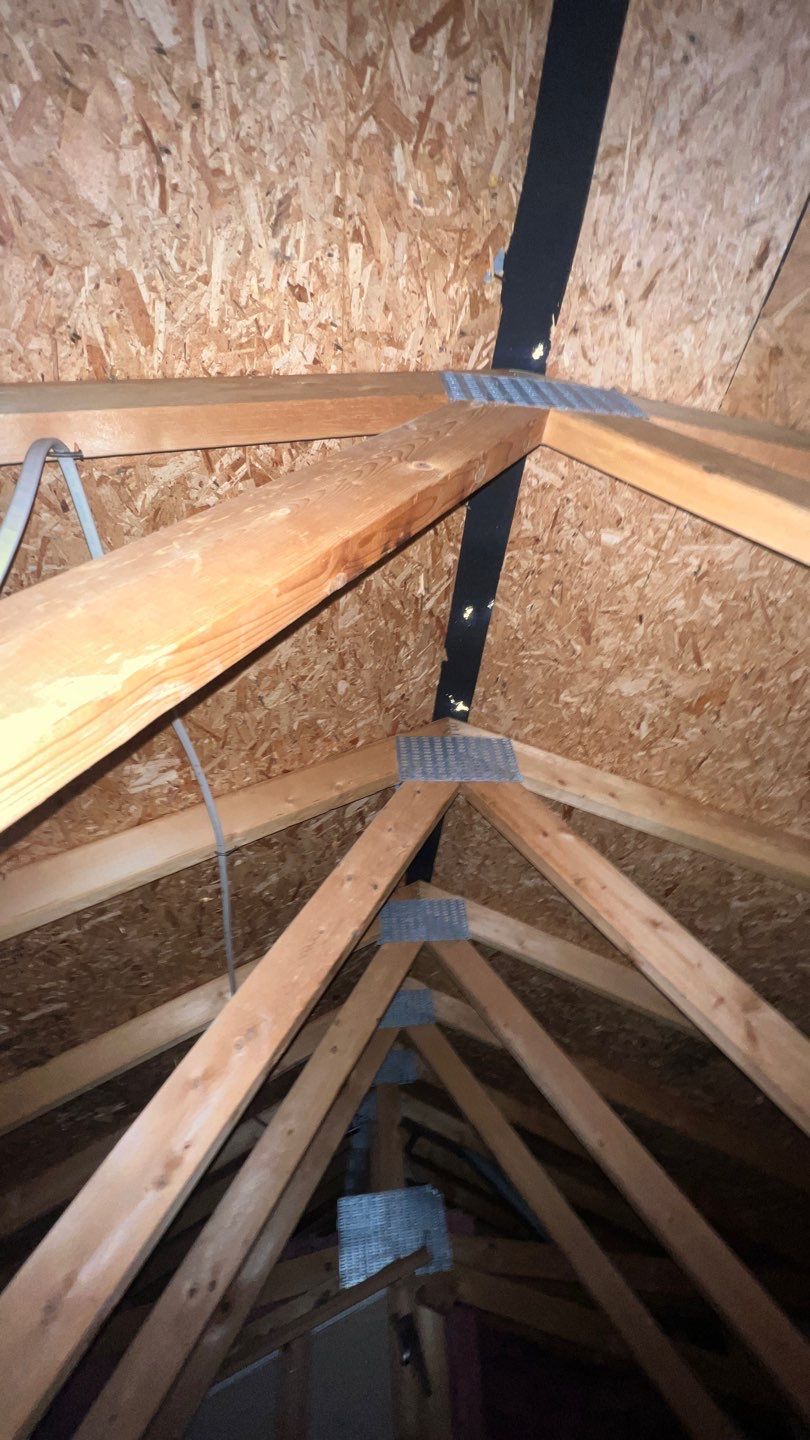 attic inspection