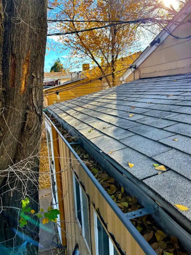 Gutter filled with dry autumn leaves along the roofline of a home, showing blockage and the need for cleaning to prevent drainage damage.