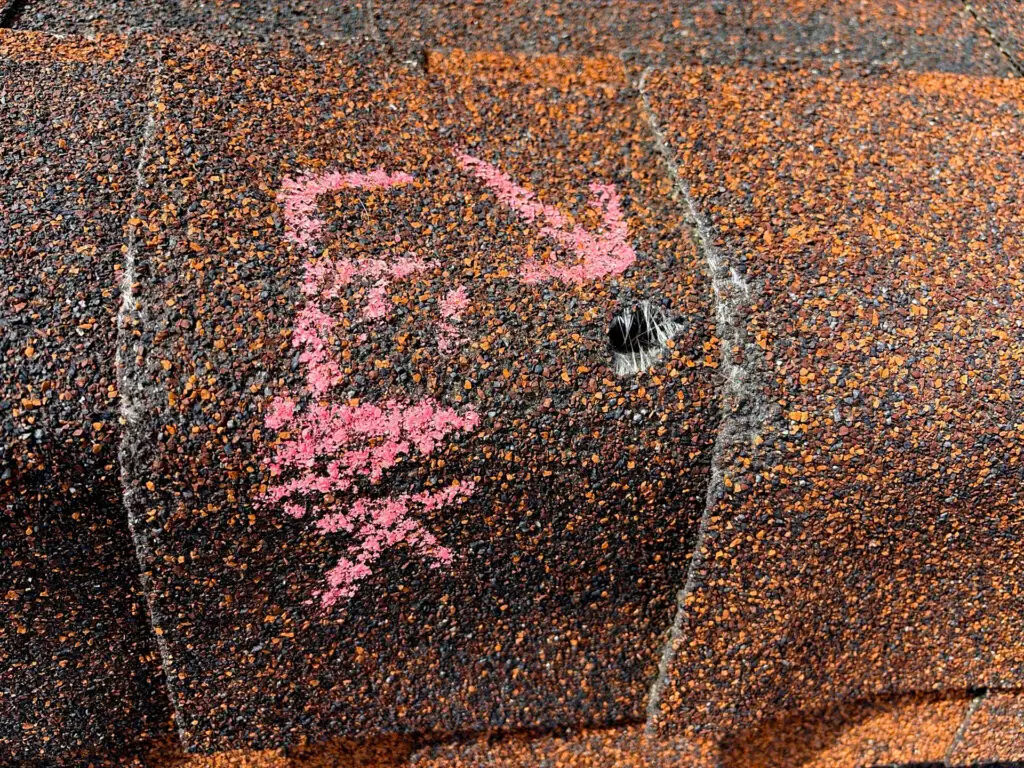 Asphalt roof shingle with hail damage, showing granule loss and a visible puncture marked with pink chalk during a roof inspection.