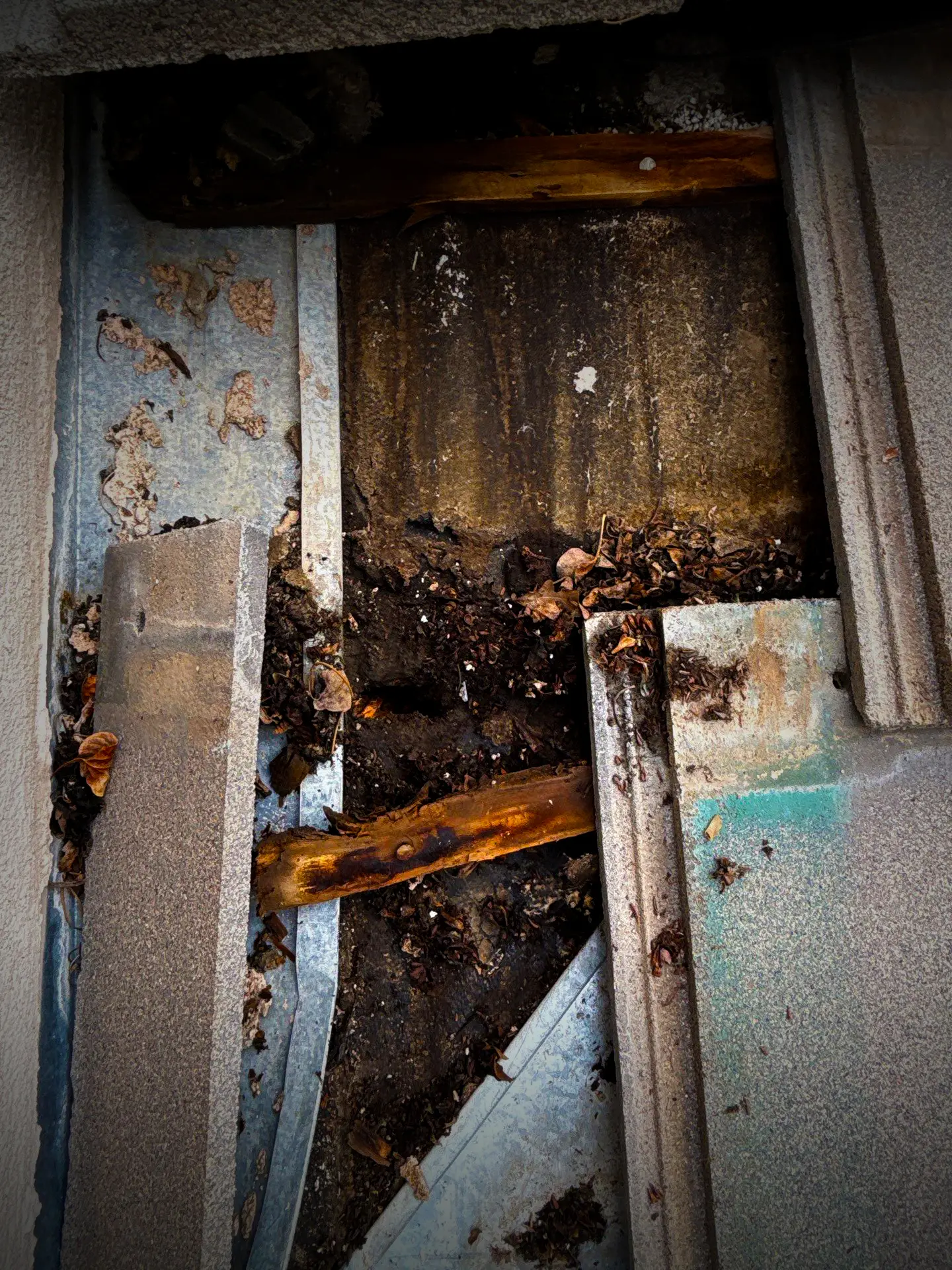 Roof section with debris buildup, moisture stains, and deteriorated wood showing signs of possible water damage and poor drainage maintenance.