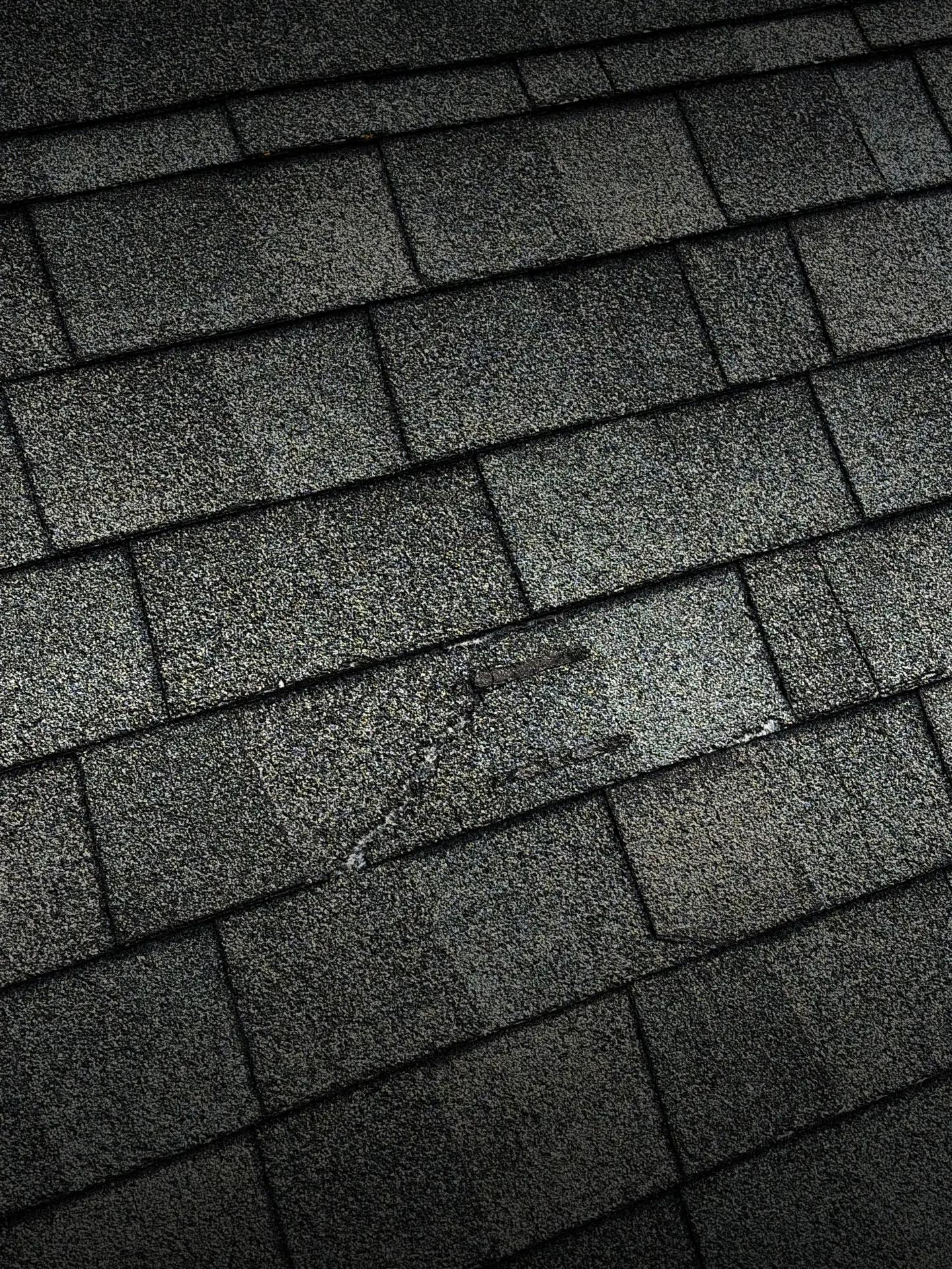 worn asphalt shingles with visible granule loss and surface damage, showing signs that the roof may need professional inspection or repair.