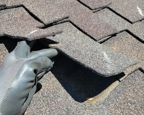 wind damage
